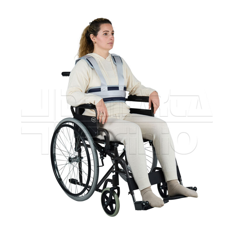 Cintura di Fissaggio per il Tronco